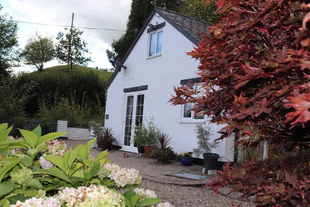 Garn Lodge Newtown  Esterno foto
