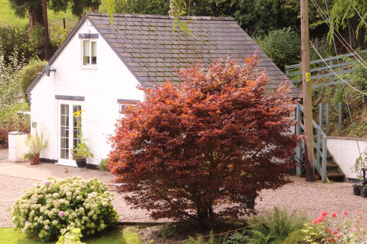Garn Lodge Newtown  Esterno foto