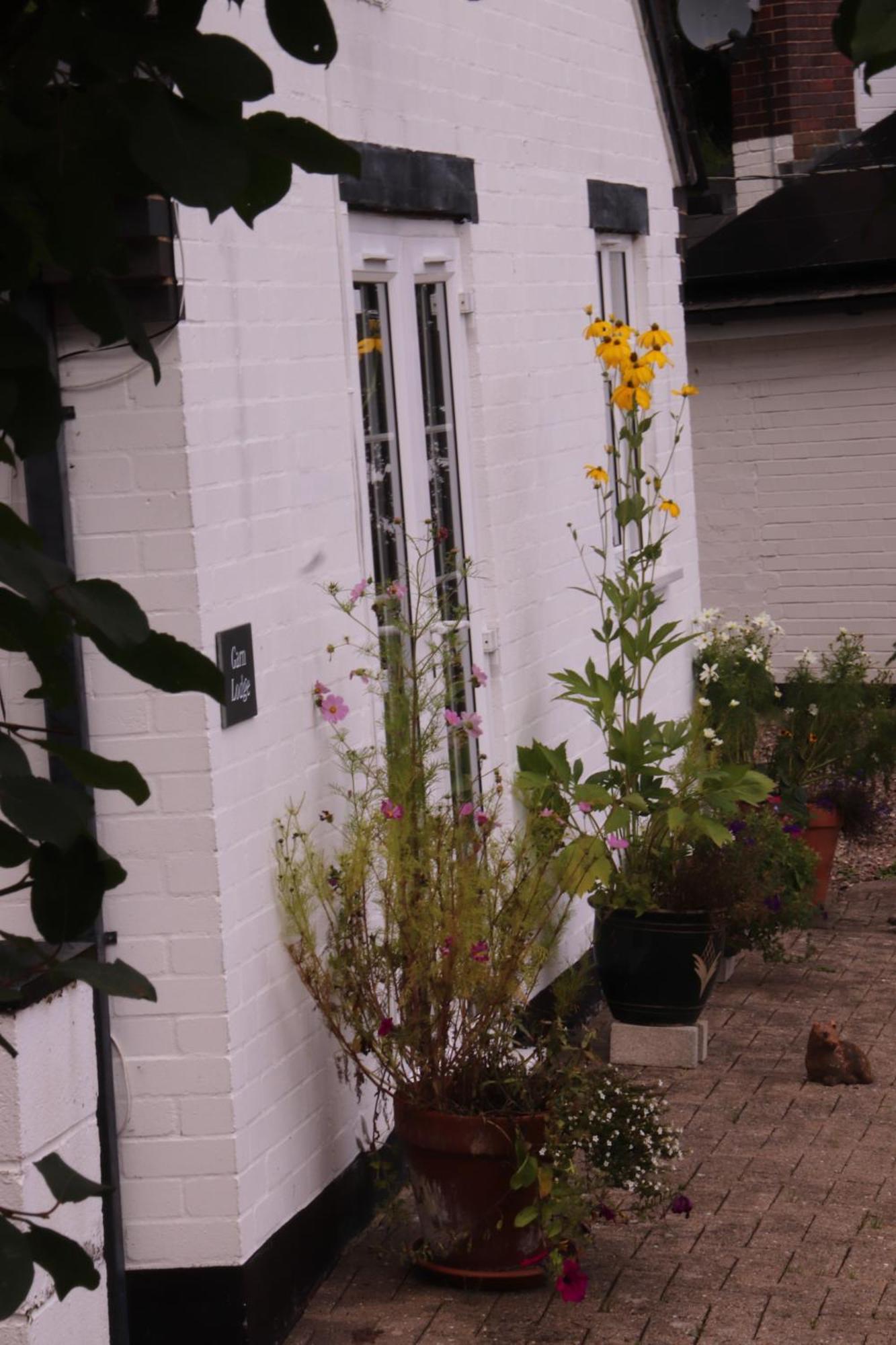 Garn Lodge Newtown  Esterno foto